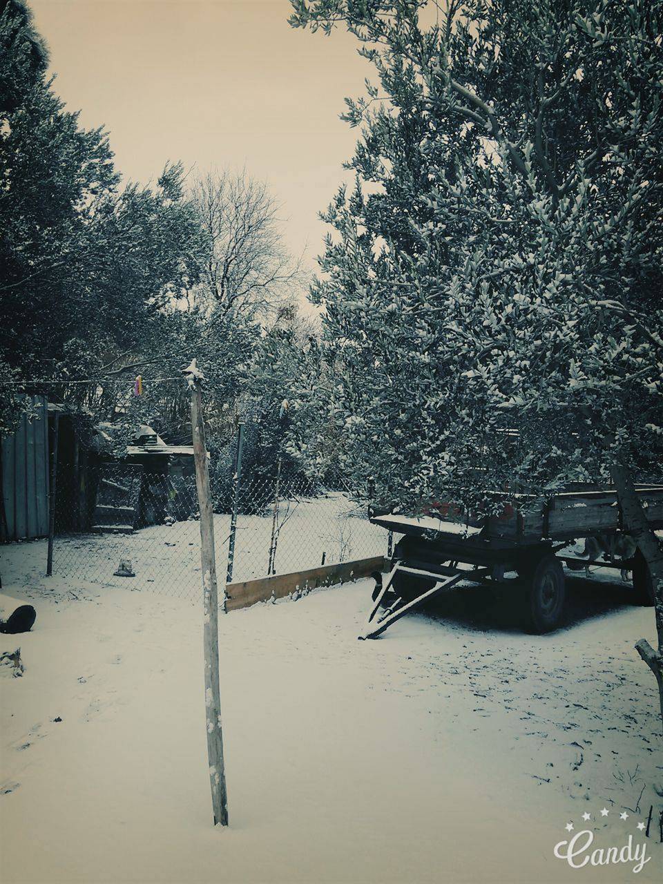 Bergama Süleymanlı Köyü Resimleri 2