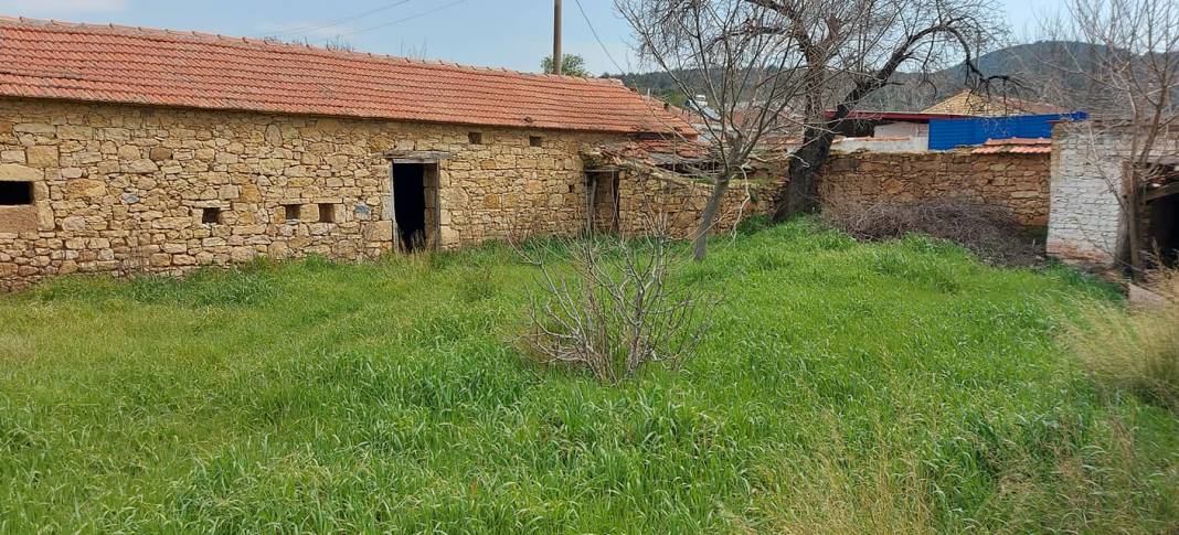 Bergama Tekkedere Köyü Resimleri 10