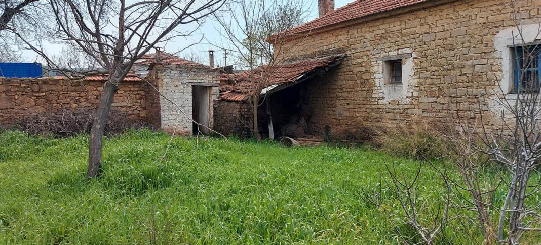 Bergama Tekkedere Köyü Resimleri 11