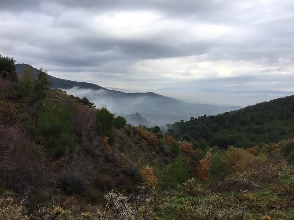 Bergama Tepeköy Köyü Resimleri 2