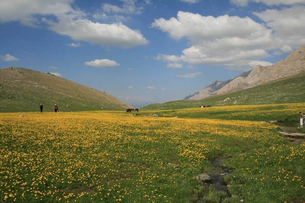 Bergama Ulucamii Köyü Resimleri 3