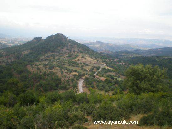 Bergama Üçtepe Köyü Resimleri 1