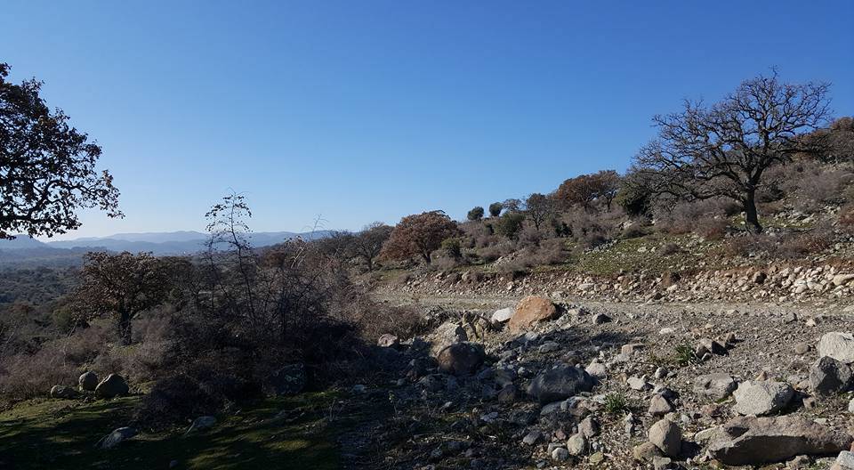 Bergama Üçtepe Köyü Resimleri 2