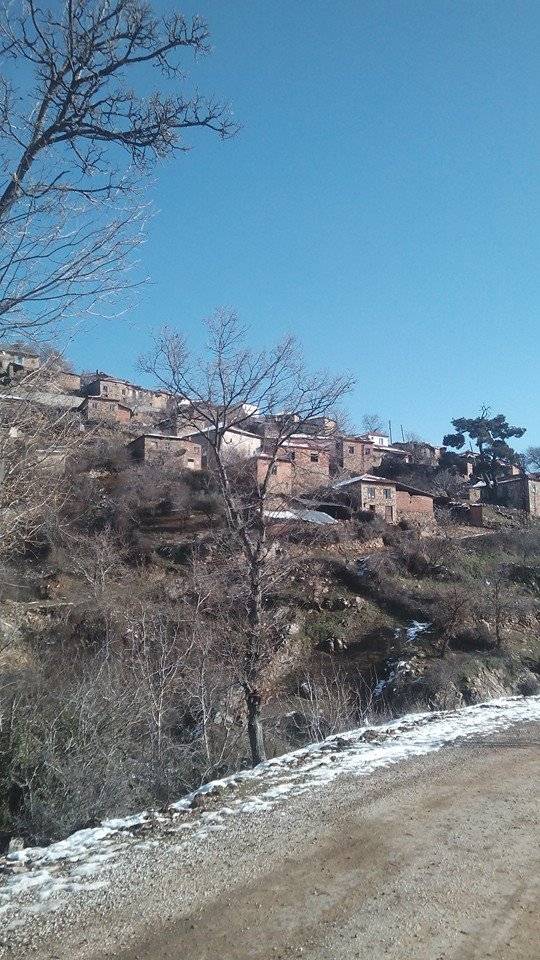 Bergama Yalnızdam Köyü Resimleri 2