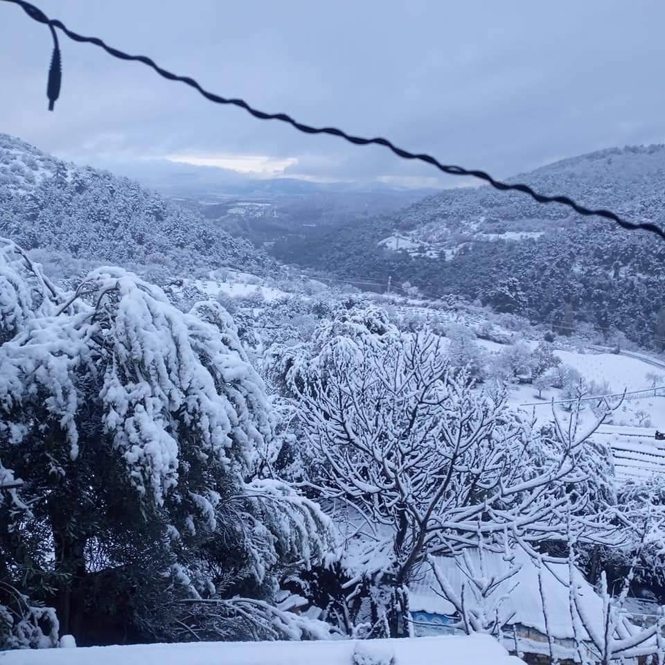 Bergama Yalnızdam Köyü Resimleri 5