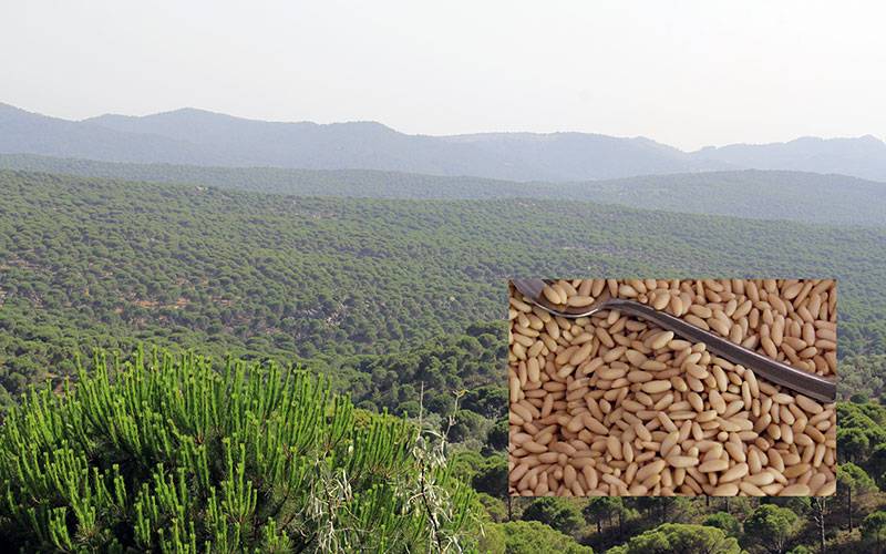 Bergama Yukarıbey Köyü Resimleri 1