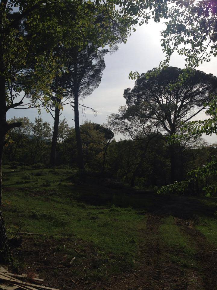 Bergama Yukarıbey Köyü Resimleri 2