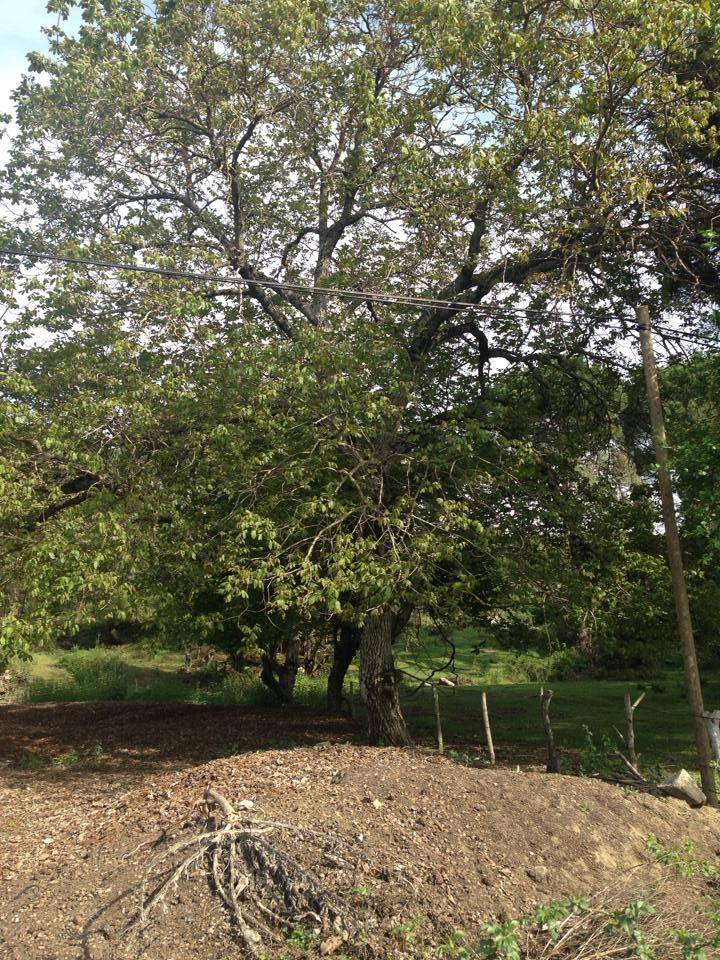 Bergama Yukarıbey Köyü Resimleri 3