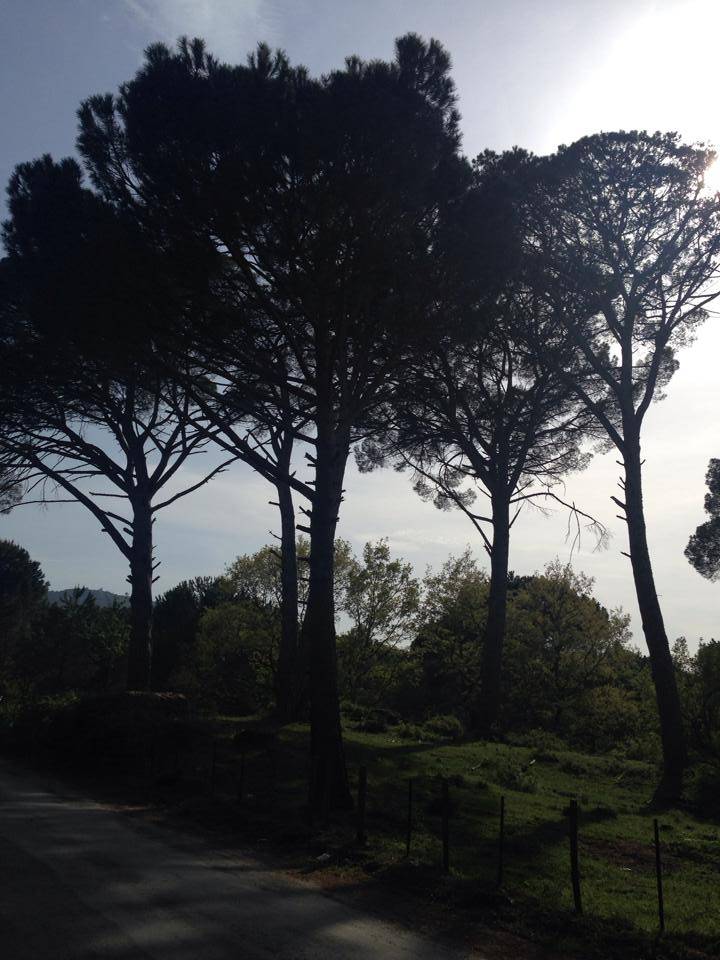 Bergama Yukarıbey Köyü Resimleri 4