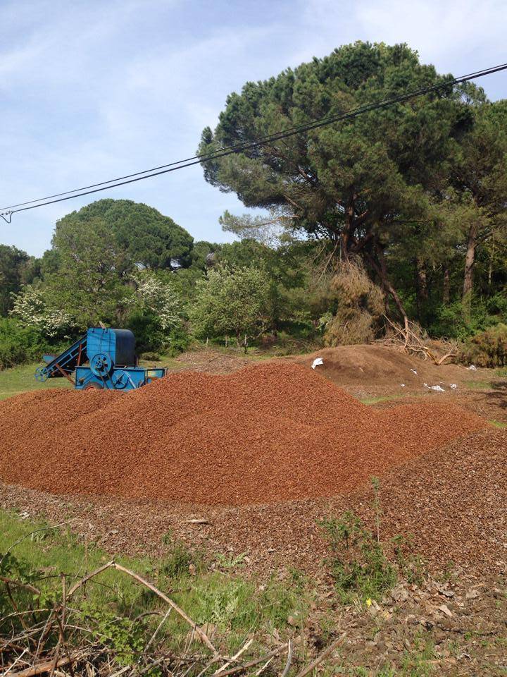 Bergama Yukarıbey Köyü Resimleri 5