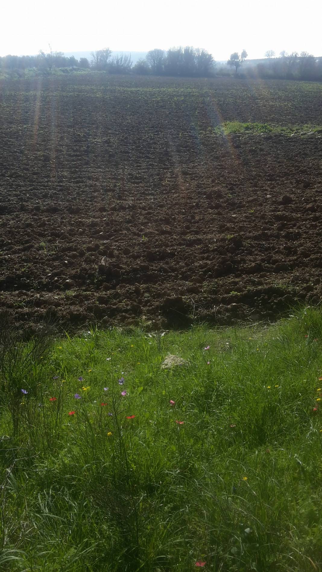 Bergama Yukarıkırıklar Köyü Resimleri 2