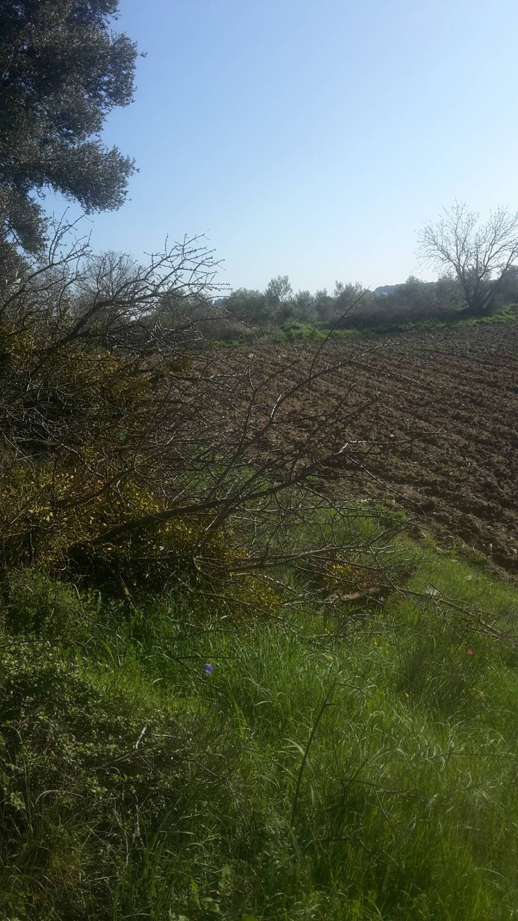 Bergama Yukarıkırıklar Köyü Resimleri 3