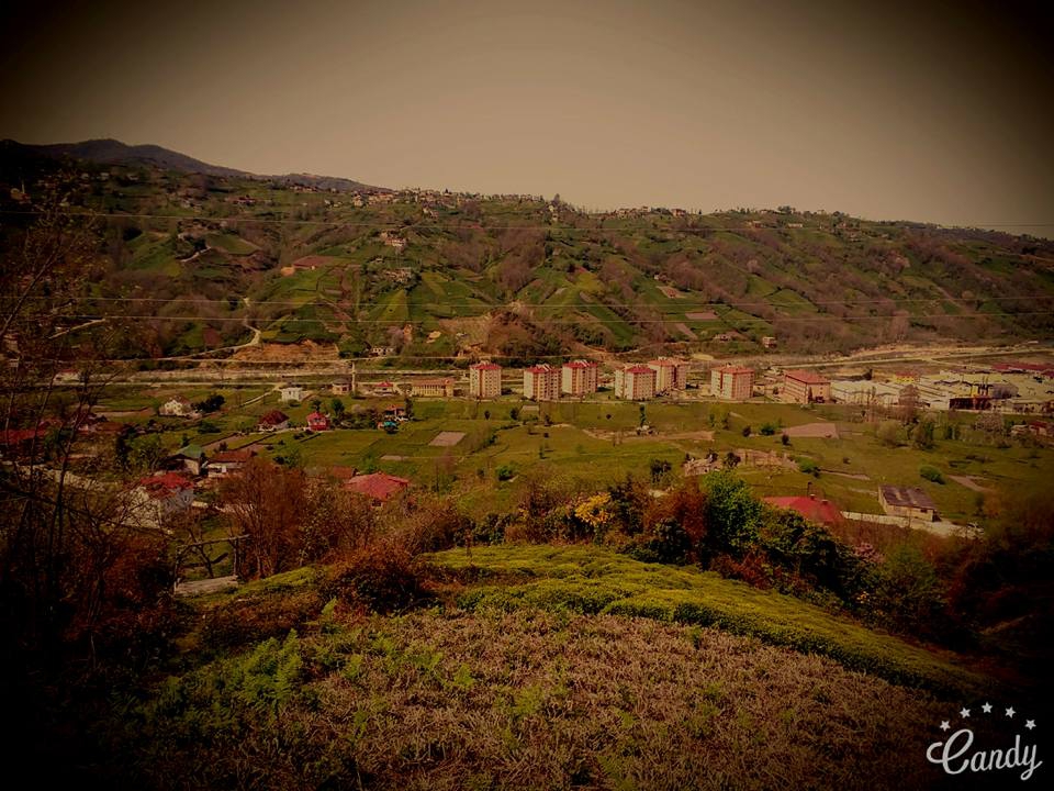 Pazar Kesikköprü Köyü Resimleri 10