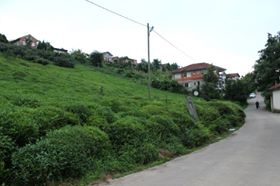 Pazar Kesikköprü Köyü Resimleri 11