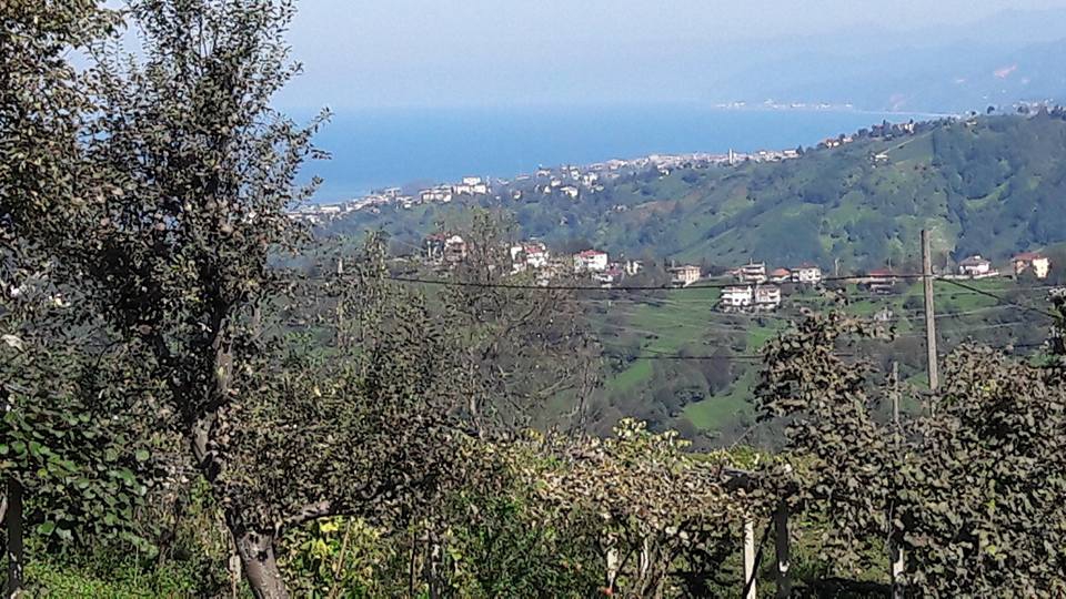 Pazar Kesikköprü Köyü Resimleri 2