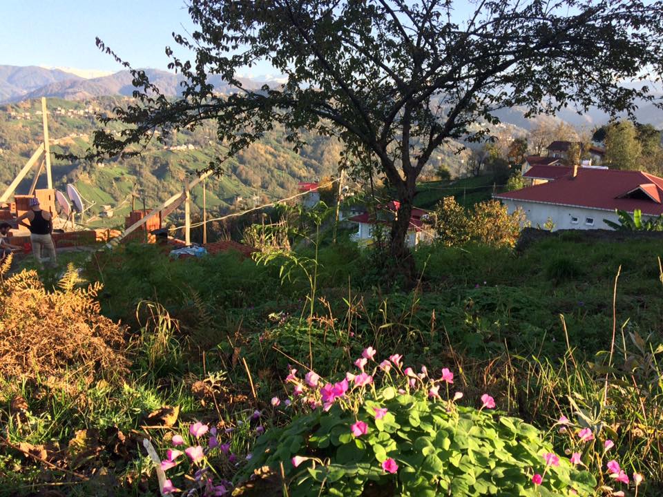 Pazar Kesikköprü Köyü Resimleri 4