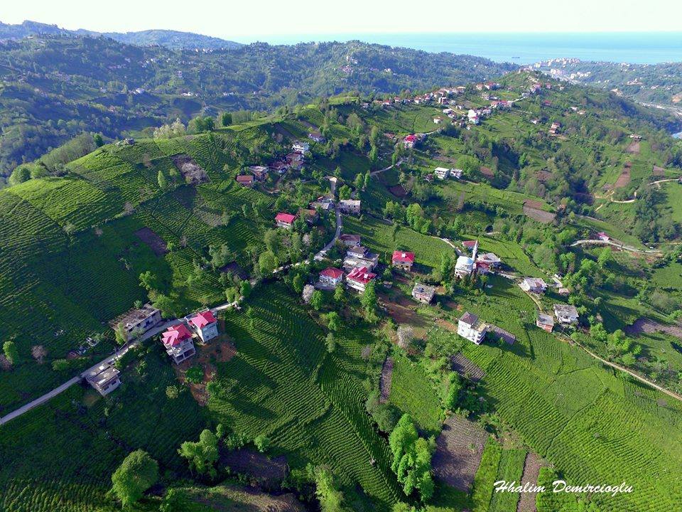 Pazar Kesikköprü Köyü Resimleri 5