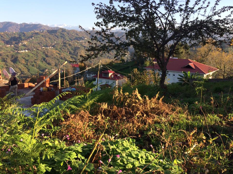 Pazar Kesikköprü Köyü Resimleri 9