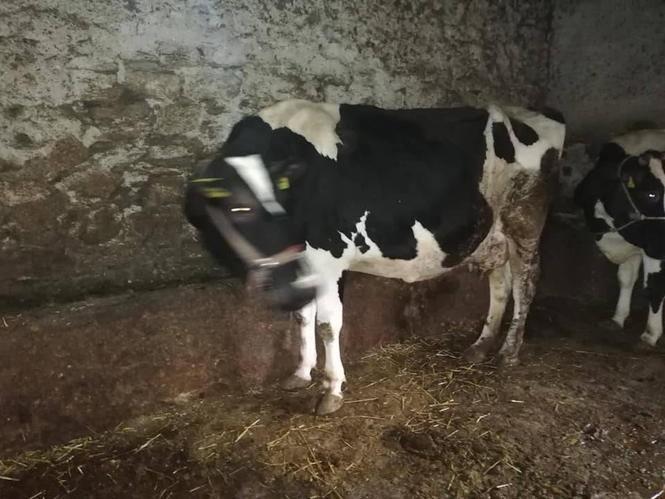 Beydağ Alakeçili Köyü Resimleri 2