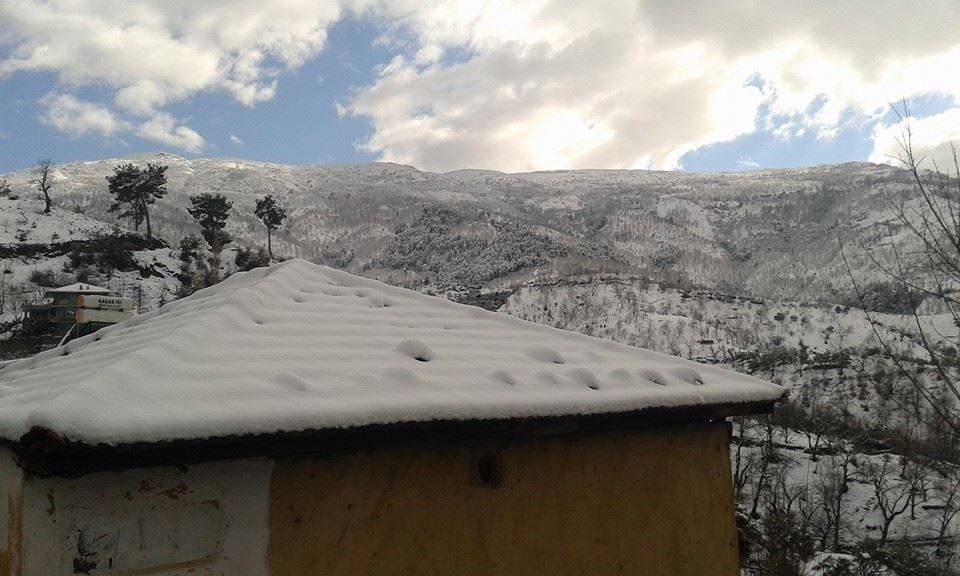 Beydağ Çamlık Köyü Resimleri 2
