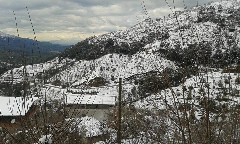 Beydağ Çamlık Köyü Resimleri 3