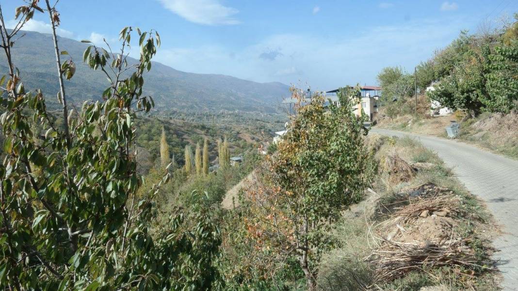 Beydağ Çamlık Köyü Resimleri 4