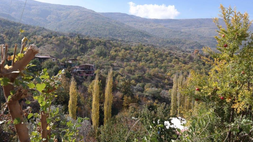 Beydağ Çamlık Köyü Resimleri 6