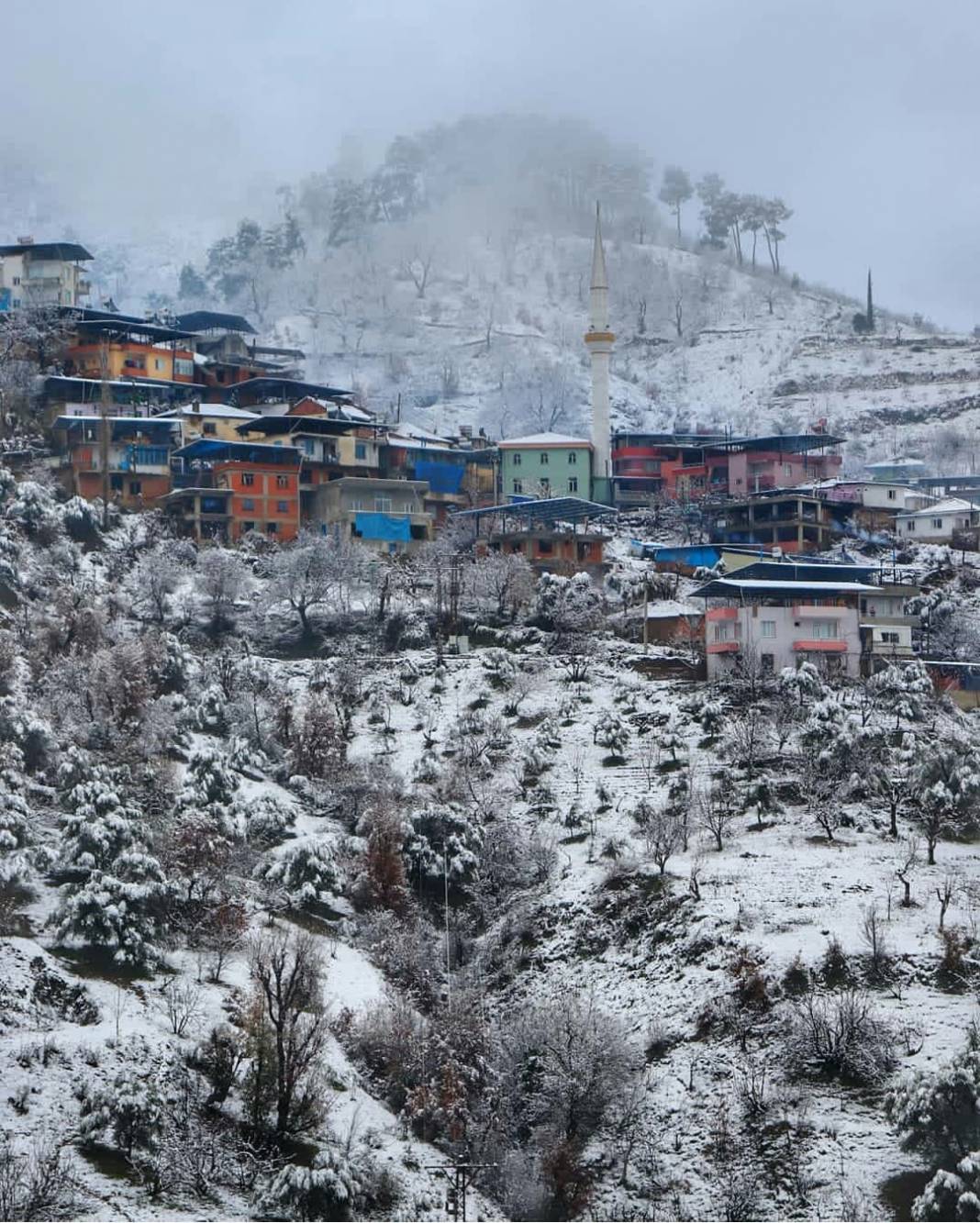 Beydağ Çamlık Köyü Resimleri 9