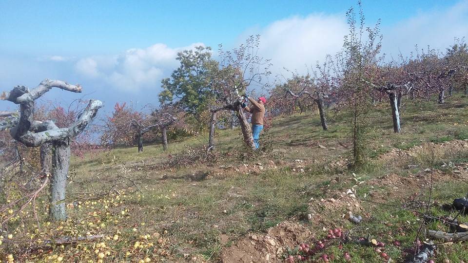 Beydağ Çomaklar Köyü Resimleri 4