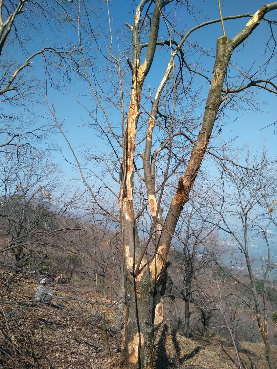 Beydağ Çomaklar Köyü Resimleri 6