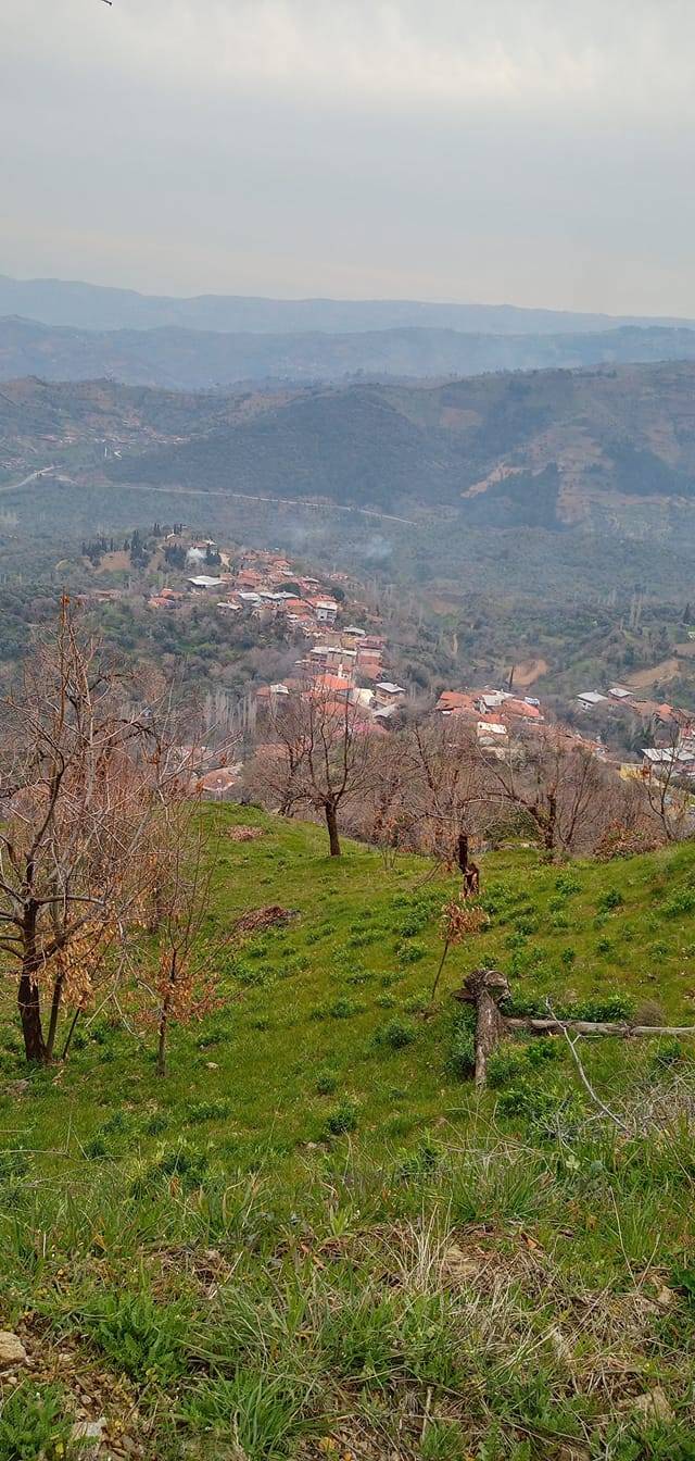 Beydağ Çomaklar Köyü Resimleri 8