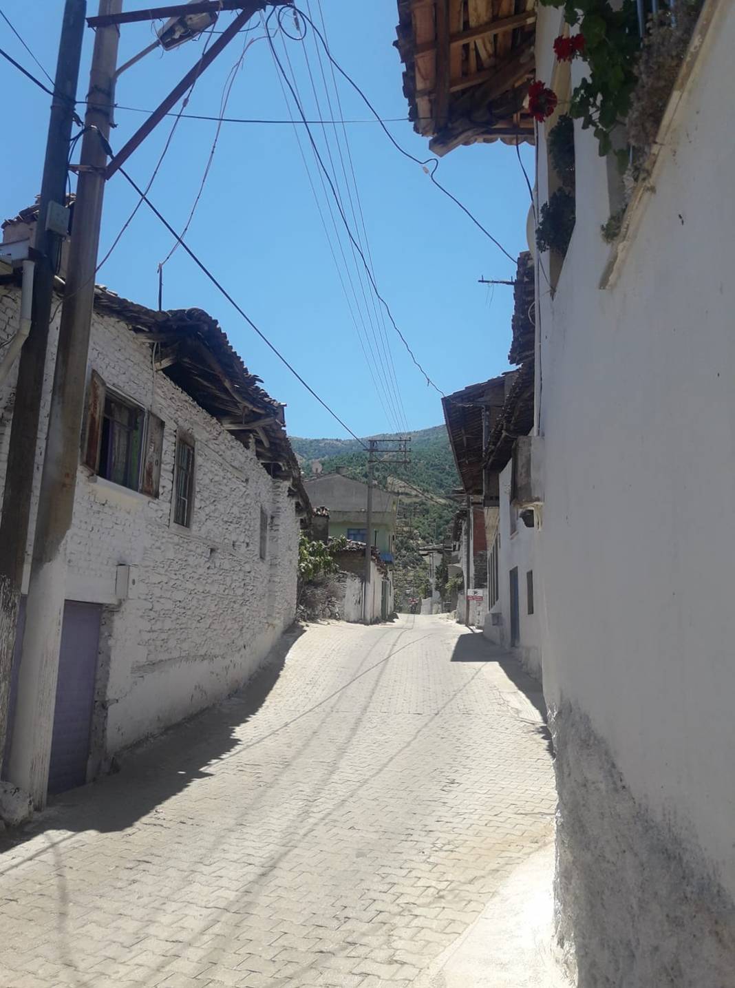 Beydağ Erikli Köyü Resimleri 5