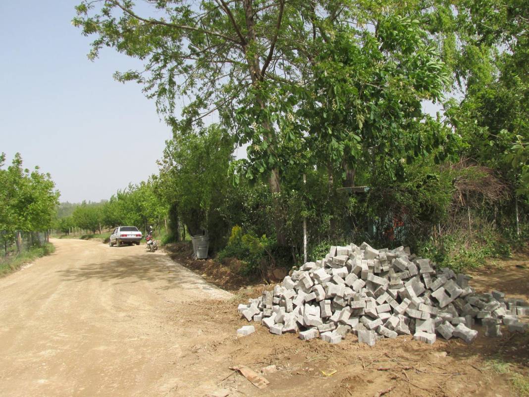 Beydağ Halıköy Köyü Resimleri 4