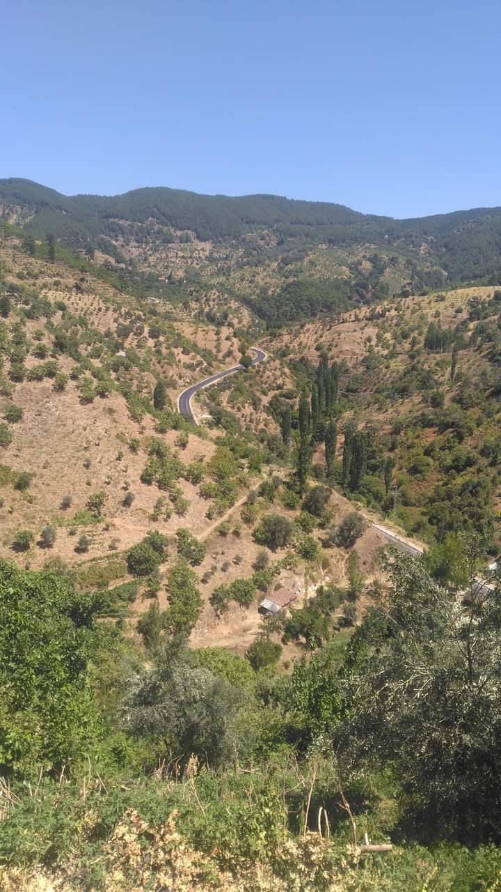 Beydağ Palamutçuk Köyü Resimleri 10