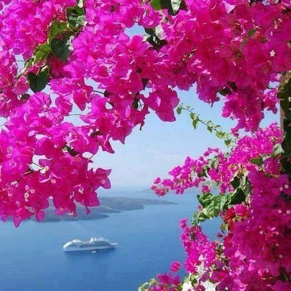 Beydağ Palamutçuk Köyü Resimleri 12