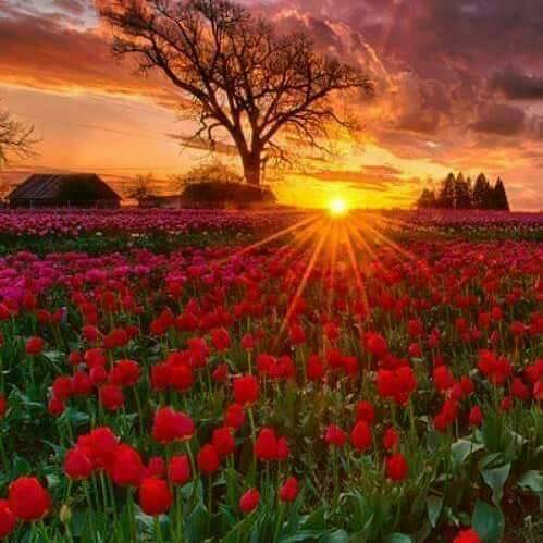 Beydağ Palamutçuk Köyü Resimleri 7