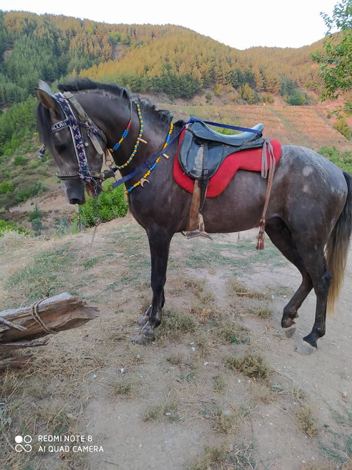 Beydağ Palamutçuk Köyü Resimleri 9