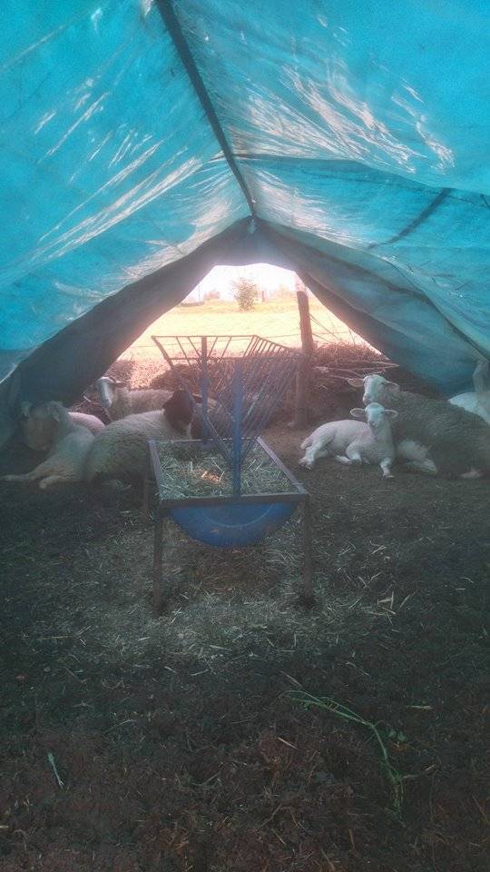 Beydağ Sarıkaya Köyü Resimleri 2