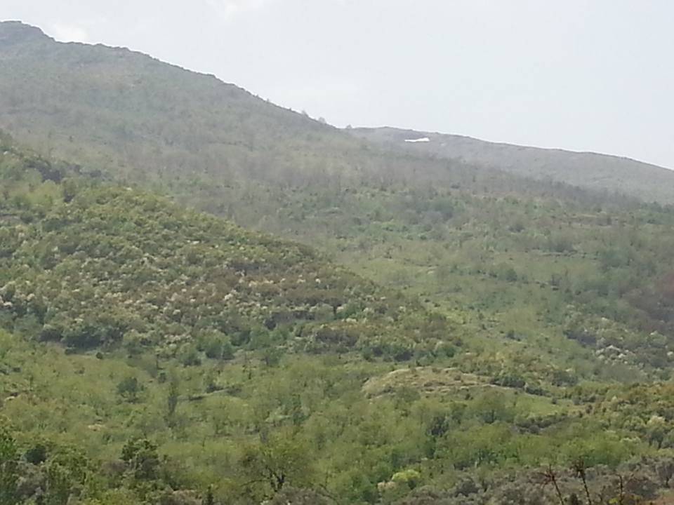 Beydağ Tabaklar Köyü Resimleri 1