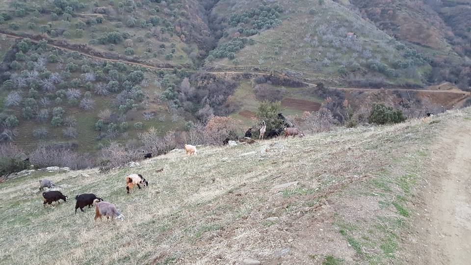 Beydağ Yağcılar Köyü Resimleri 3