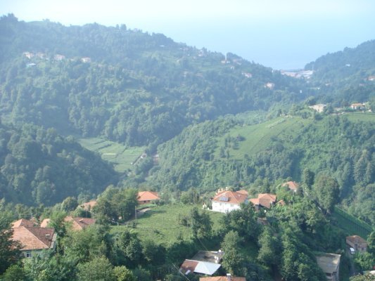 Pazar Kuzayca Köyü Resimleri 1