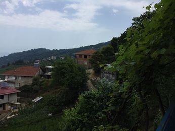 Pazar Kuzayca Köyü Resimleri 2