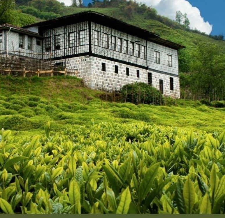 Pazar Kuzayca Köyü Resimleri 3