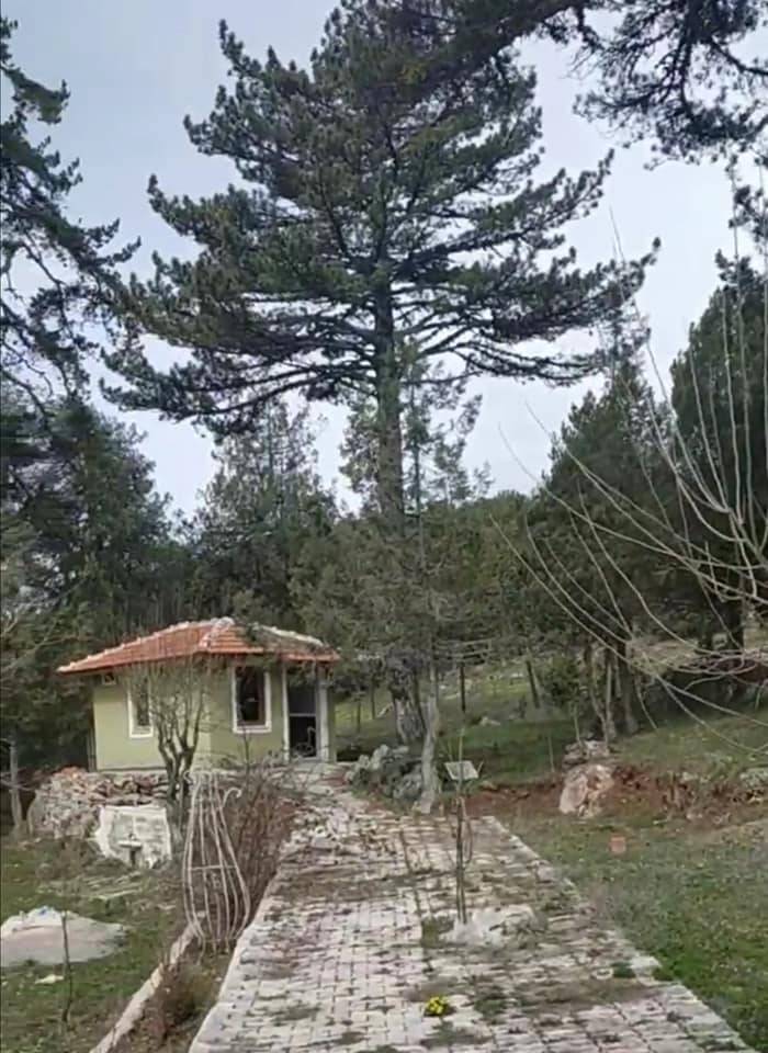 Çeşme Ardıç Köyü Resimleri 4