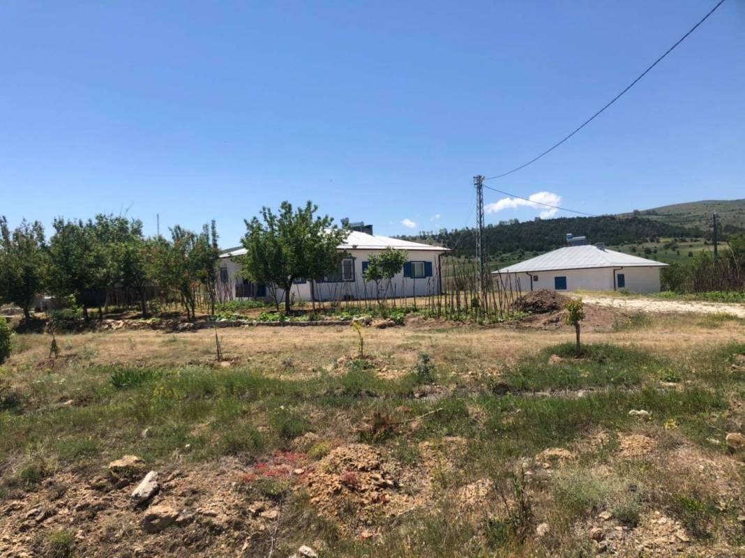 Çeşme Cumhuriyet Köyü Resimleri 5