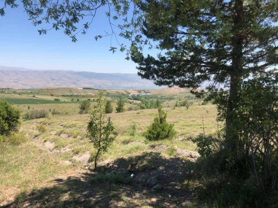 Çeşme Cumhuriyet Köyü Resimleri 6