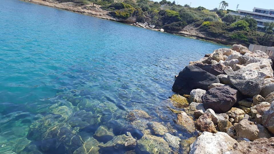 Çeşme Dalyanköy Köyü Resimleri 2