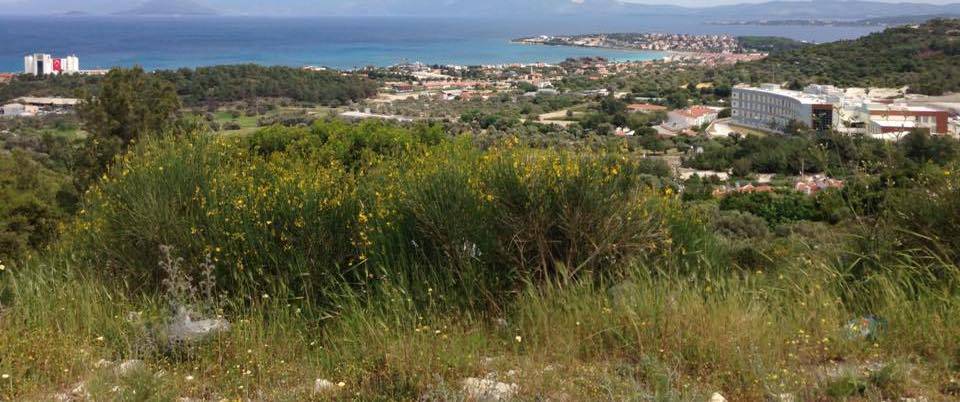 Çeşme Fahrettin Paşa Köyü Resimleri 4