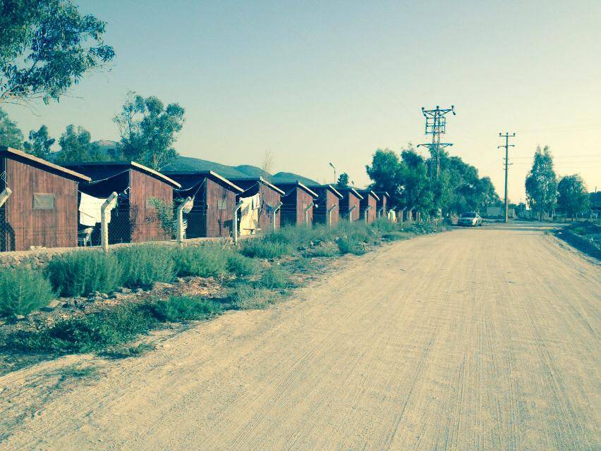 Dikili Bademli Köyü Resimleri 1