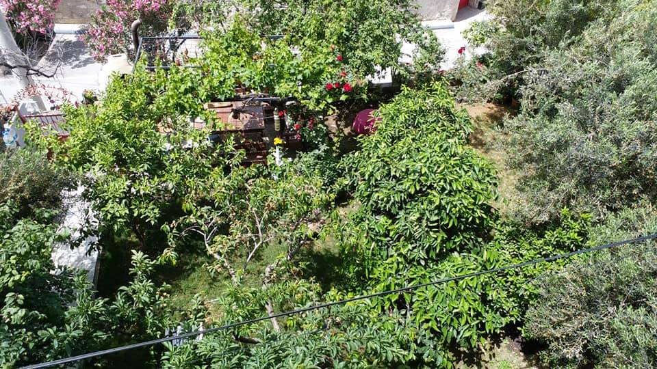 Dikili Bademli Köyü Resimleri 6